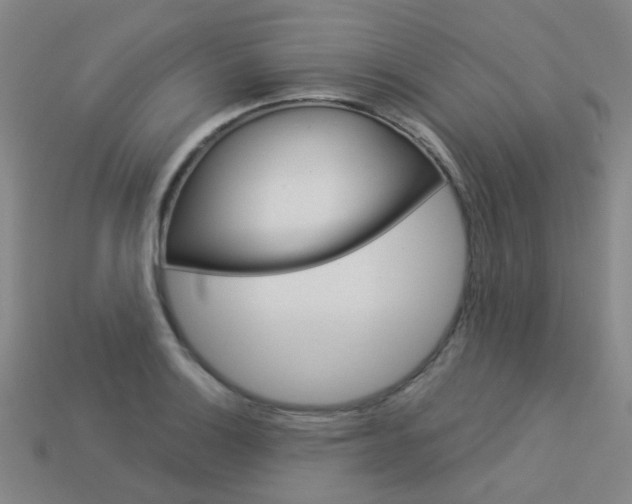 X0000114101132200910051225
