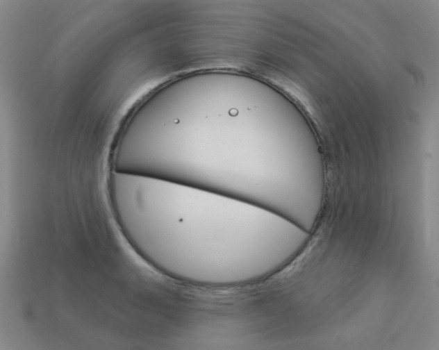 X0000114101135200910051225