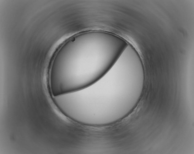 X0000114101136200910051225