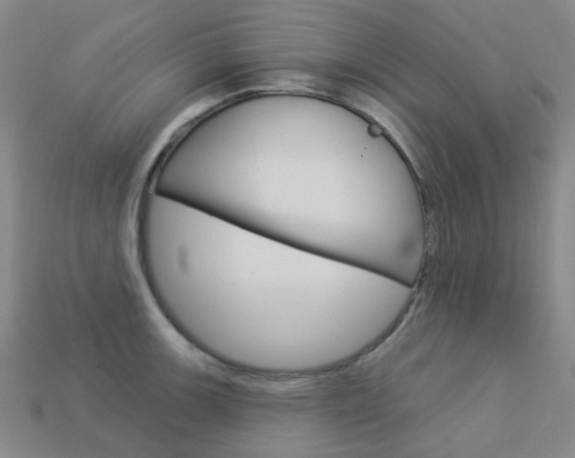 X0000114101139200910051225