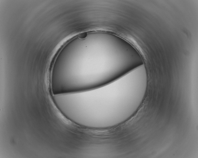 X0000114101140200910051225