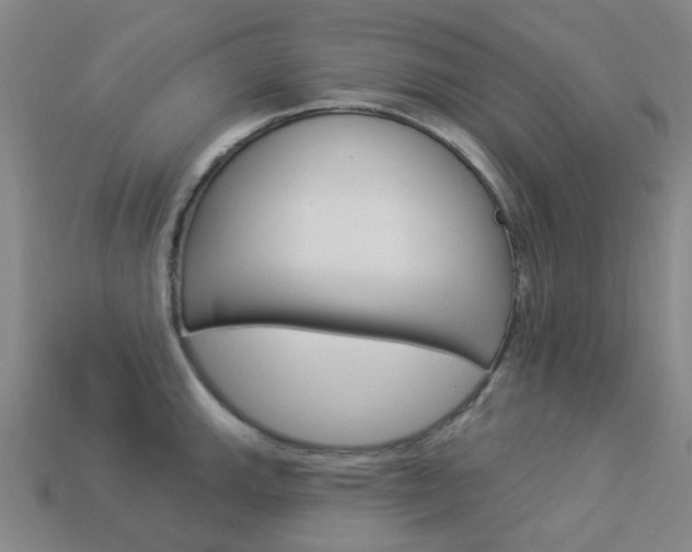 X0000114101143200910051225