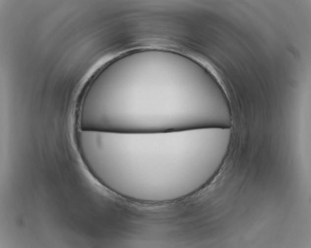 X0000114101147200910051225