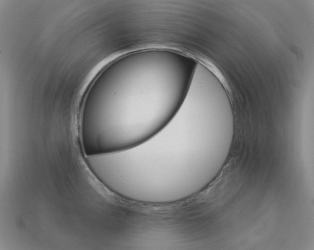 X0000114101148200910051225