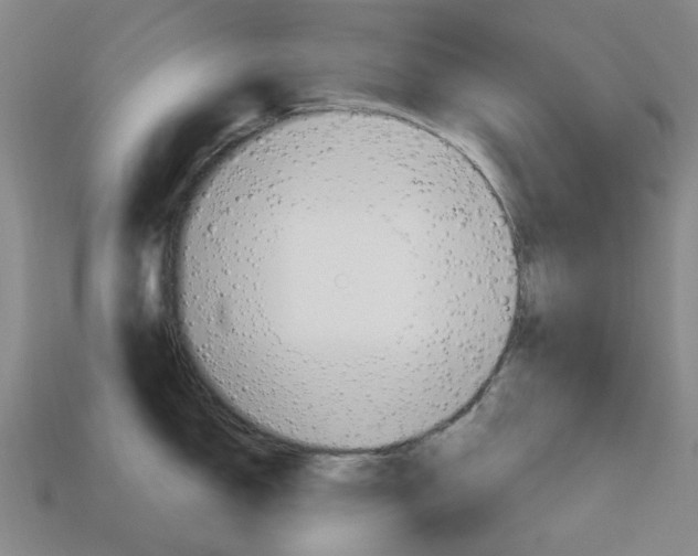 X0000114101150200910051225