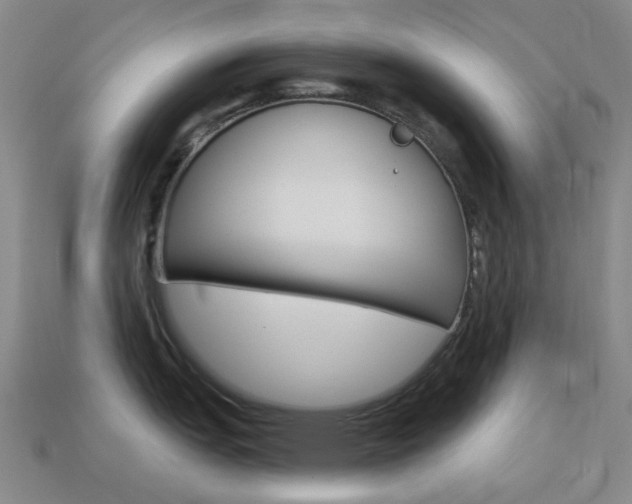 X0000114101151200910051225