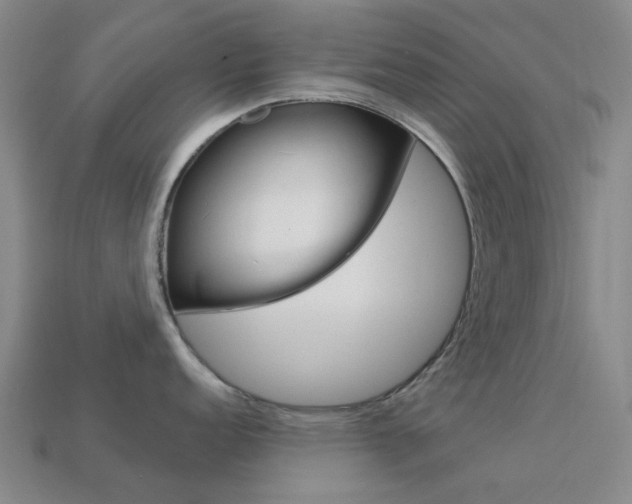 X0000114101152200910051225