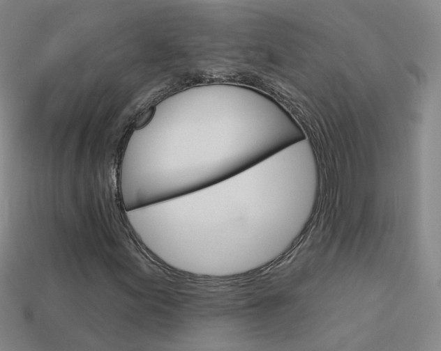X0000114101155200910051224