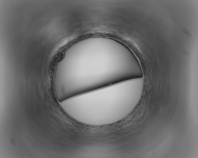 X0000114101159200910051224