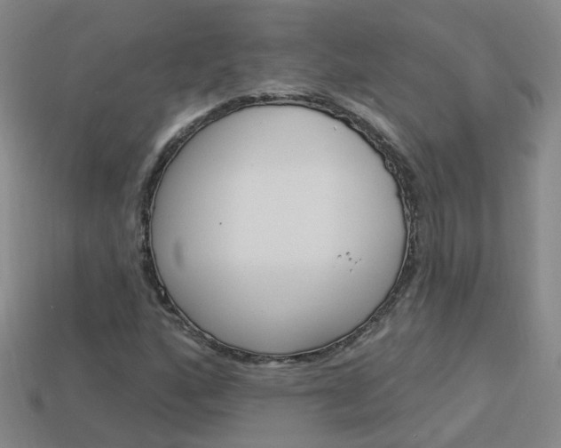 X0000114101160200910051224