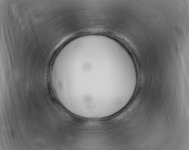 X0000114101162200910051224