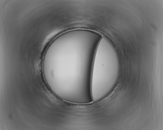 X0000114101164200910051224