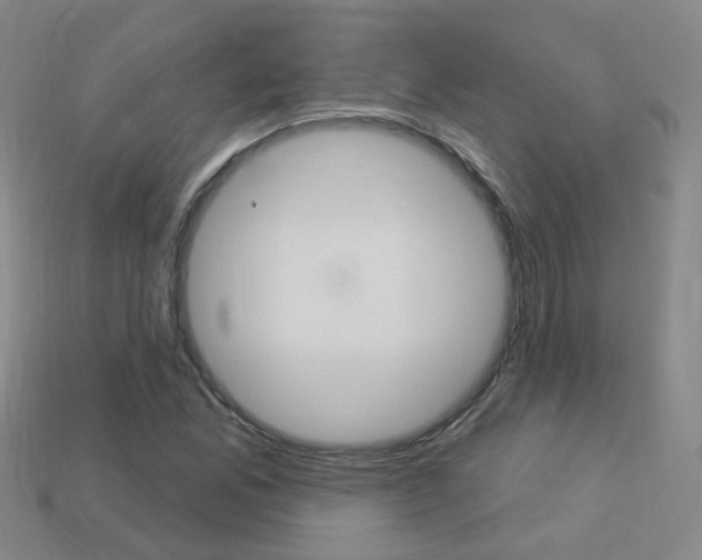 X0000114101165200910051224