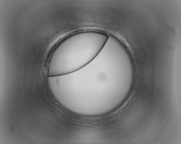 X0000114101167200910051224