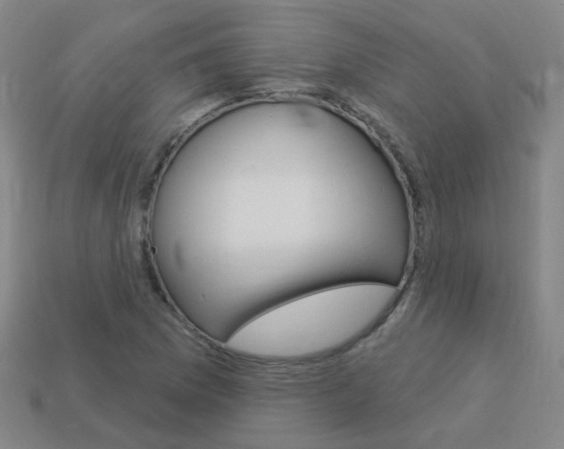 X0000114101169200910051224