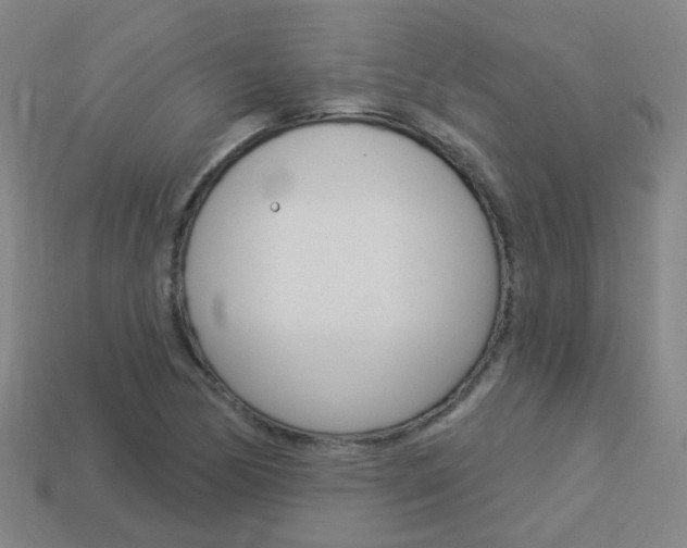 X0000114101170200910051224