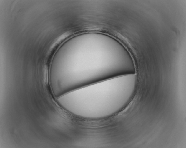 X0000114101171200910051224