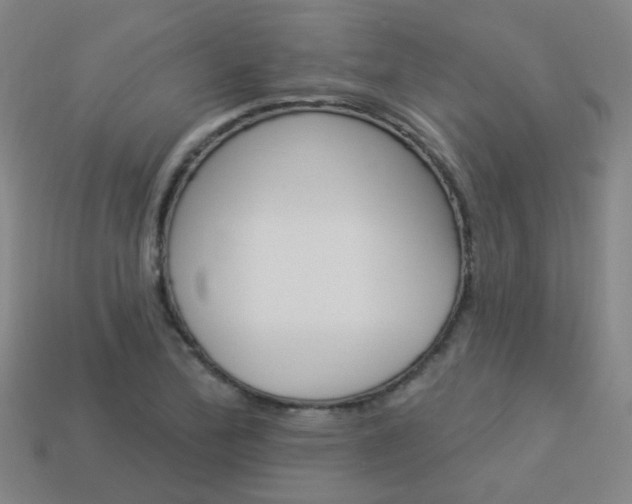 X0000114101172200910051224