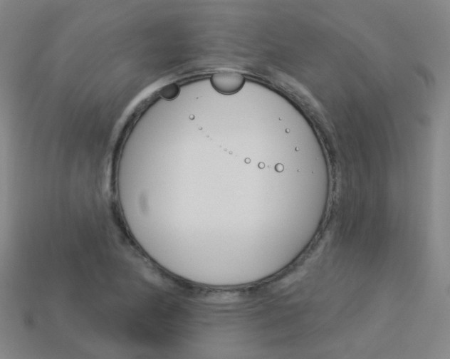 X0000114101174200910051224