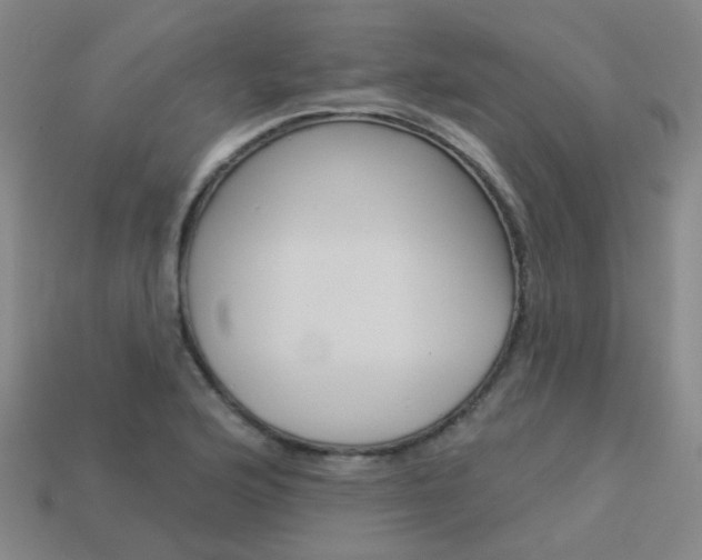 X0000114101176200910051224