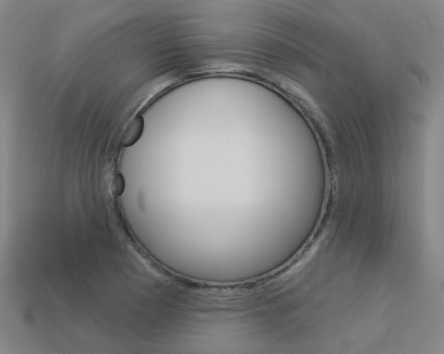 X0000114101177200910051224