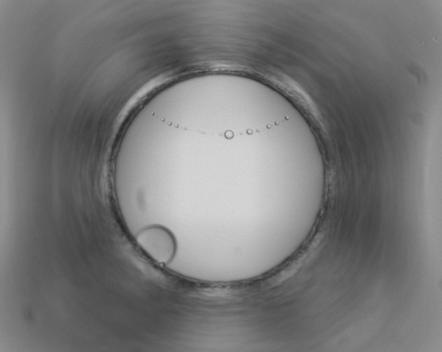 X0000114101182200910051224