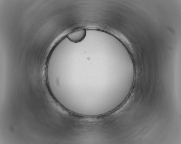 X0000114101190200910051224