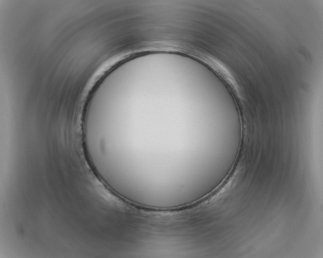 X0000114101192200910051224