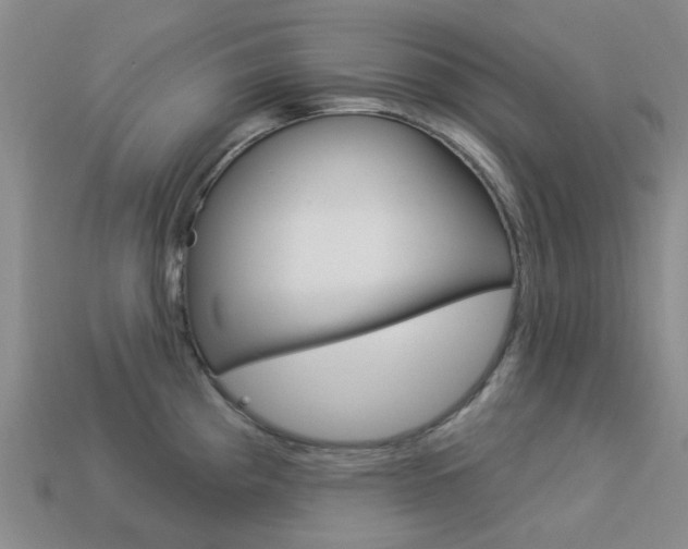 X0000114101193200910051224