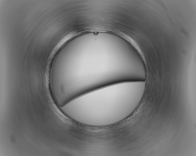 X0000114101195200910051224