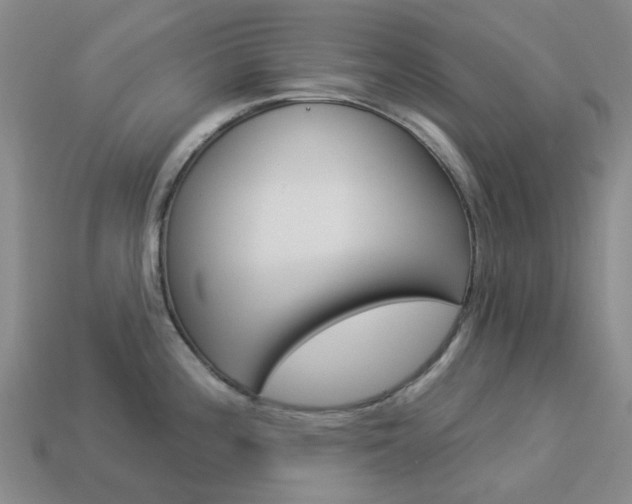 X0000114101196200910051224