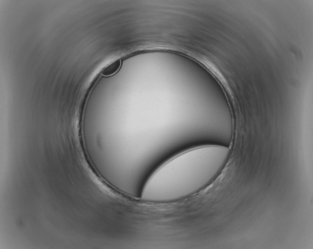 X0000114101197200910051224