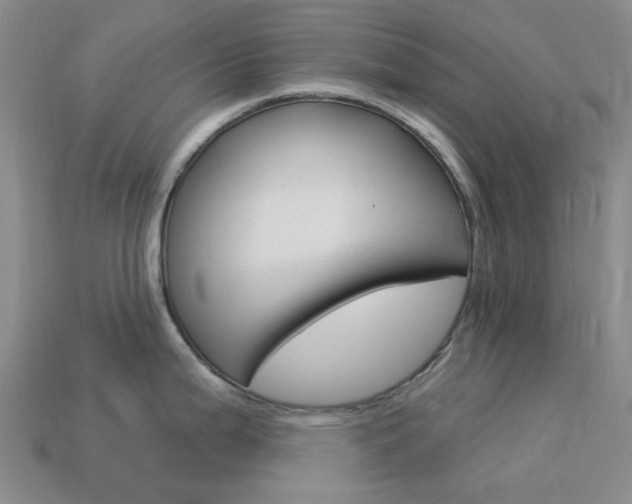 X0000114101199200910051224