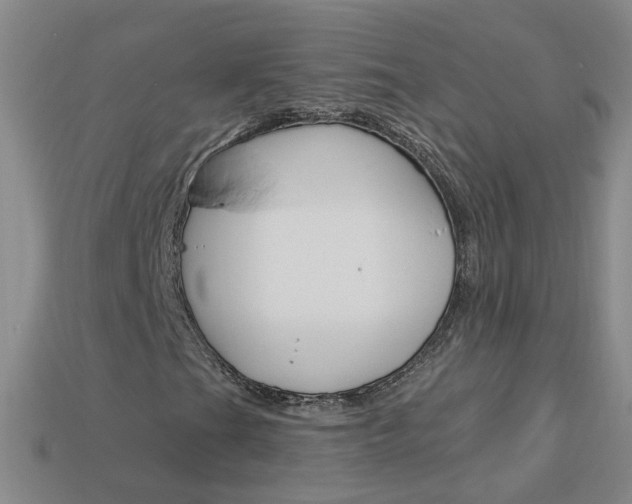 X0000114101201200910051223
