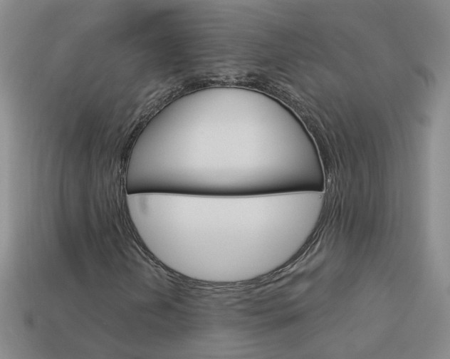X0000114101202200910051223