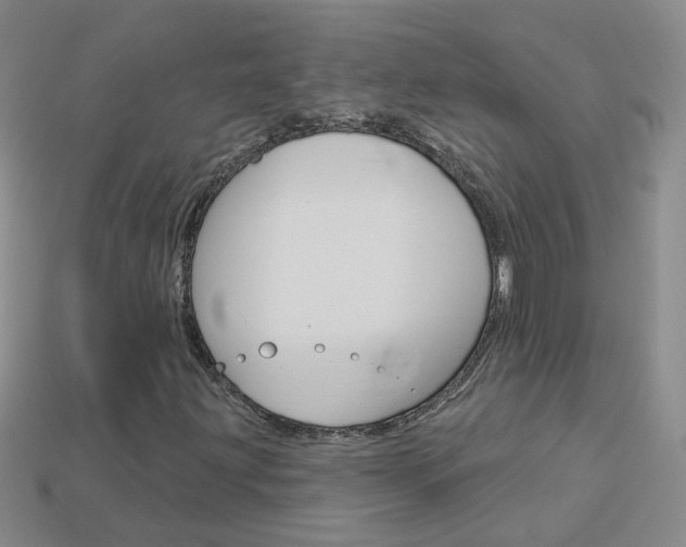 X0000114101203200910051223