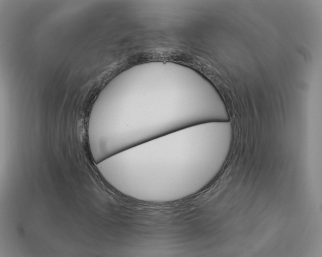 X0000114101204200910051223
