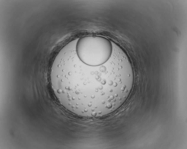 X0000114101205200910051223