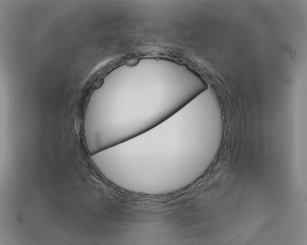 X0000114101206200910051223