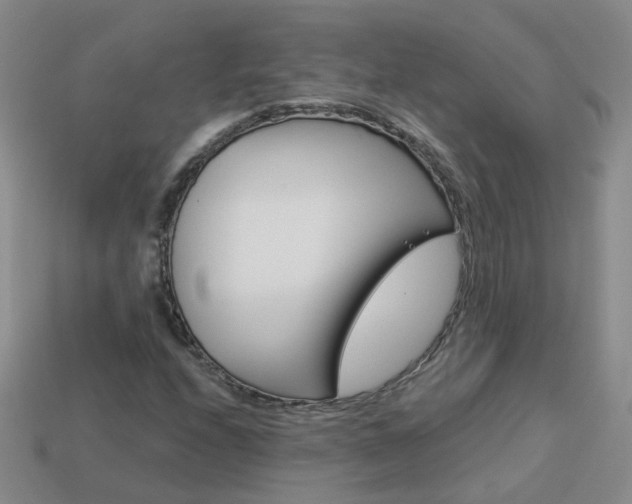 X0000114101208200910051223