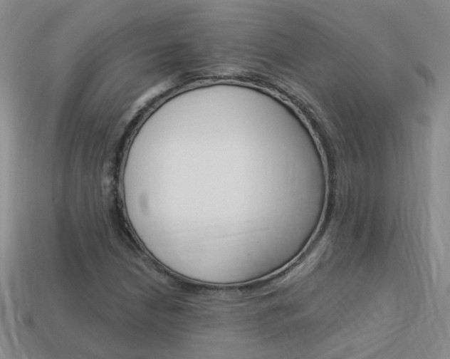 X0000114101210200910051223