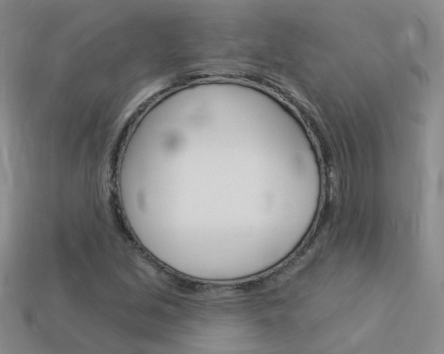 X0000114101213200910051223