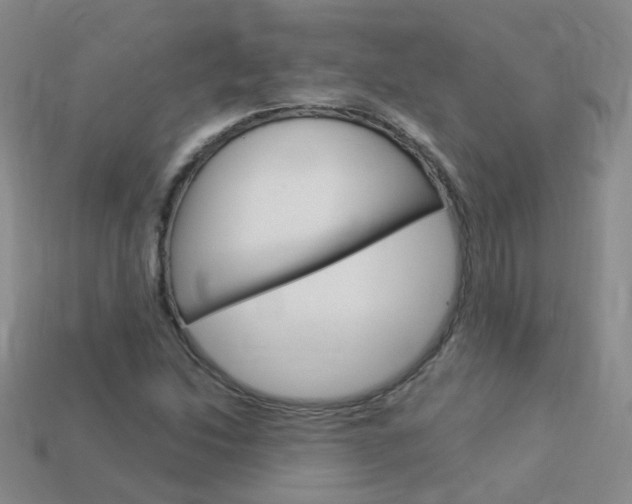 X0000114101214200910051223