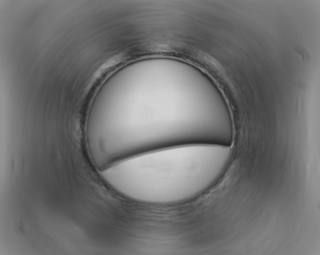 X0000114101218200910051223