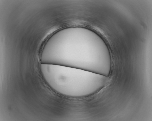 X0000114101219200910051223