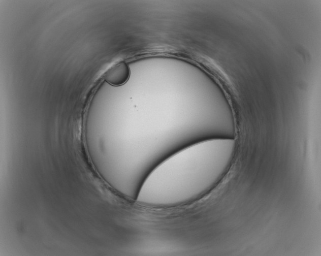 X0000114101220200910051223