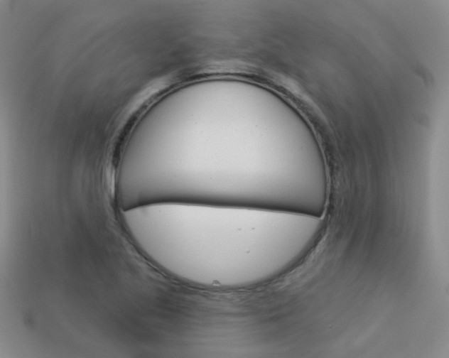 X0000114101221200910051223