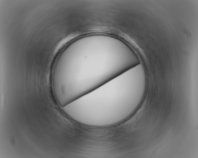 X0000114101222200910051223