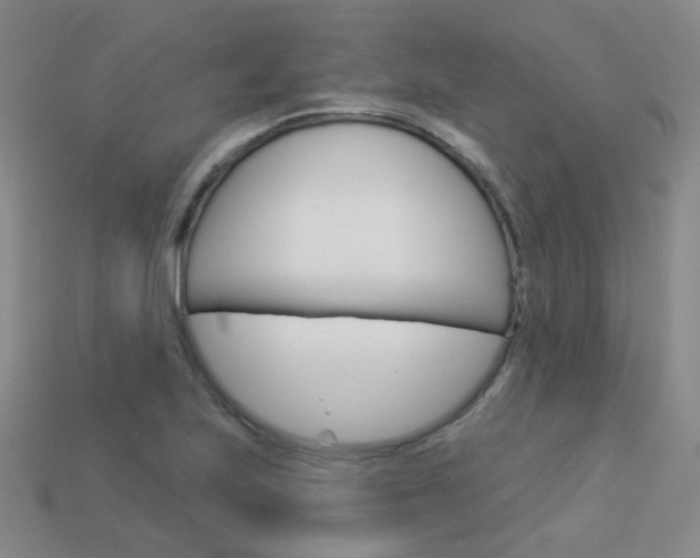 X0000114101223200910051223