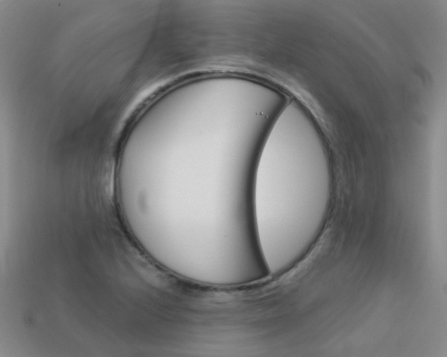 X0000114101224200910051223